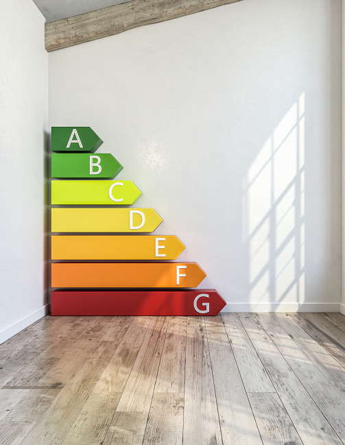 Diagnostics immobiliers Ferney-Voltaire 01210